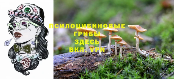 марки nbome Осинники
