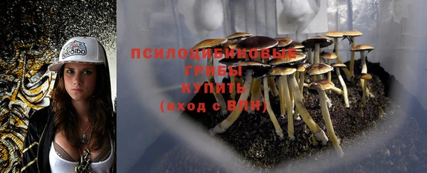 mix Осташков