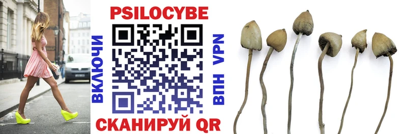 Купить закладки  Суздаль  Галлюциногенные грибы ЛСД 